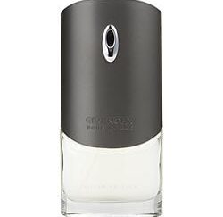 GIVENCHY SILVER EDITION by Givenchy