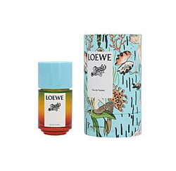 LOEWE PAULA'S IBIZA by Loewe