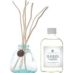 SEAGRASS & ALOE by Northern Lights