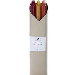AUTUMN HARVEST TAPERS COMBO PACK by Northern Lights