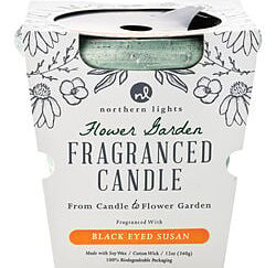 FLOWER GARDEN BLACK EYED SUSAN by