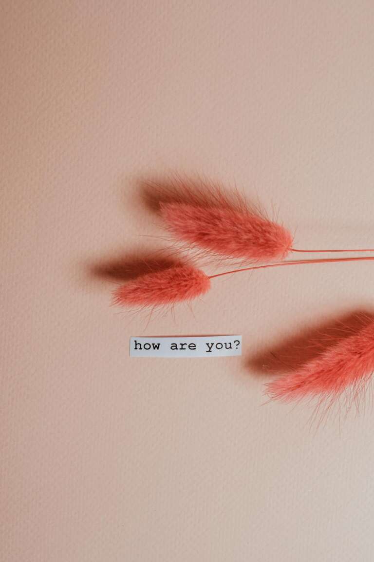 Pink lagurus stems with 'how are you?' text on pastel backdrop—warm, friendly vibe.